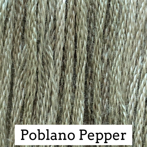 CC Poblano Pepper