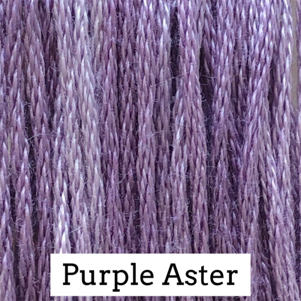 CC Purple Aster