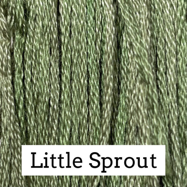 CC Little Sprout