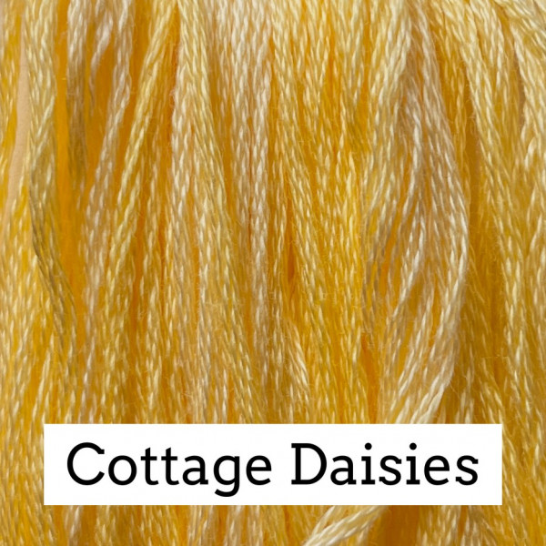 CC Cottage Daisies