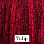 151_Tulip.jpg